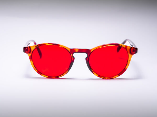 Corona animals noche