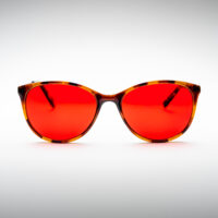 PLEXO SOLAR ANIMALS (noche)